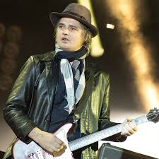 The main source of income: How Much Is Peter Doherty Worth