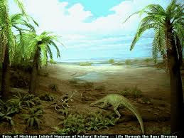 Age of cycads — that period of earth's history dominated by cycads; Paleobiology 4