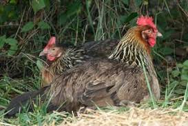 Wann ist gründonnerstag im jahr 2021? Grundonnerstag Termine Und Informationen Zum Feiertag