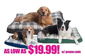 A calming dog bed serves as a perfect retreat for pets struggling with anxiousness, as long as you get the right one. Mypillow Dog Beds
