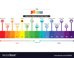 ph scale bismi margarethaydon com