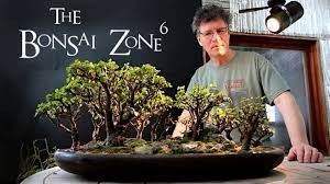 Bonsai means a tree in a pot and, therefore, presumes a woody perennial. Pruning My Portulacaria Afra Bonsai Forest March 2019 Youtube