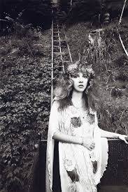 Stevie Nicks In Laurel Canyon By Neal Preston In 2020 Stevie Nicks Stevie Nicks Fleetwood Mac Stevie