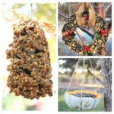 It's the perfect alternative to making a clay feeder from scratch. 10 Diy Birdseed Feeders Great Family Project A Cultivated Nest