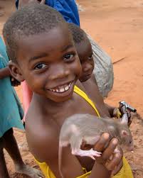 Content Posted in 2011