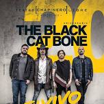 The Black Cat Bone En Bogotá