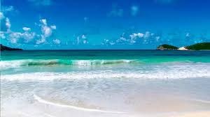 Bruit De La Mer Chant Des Oiseaux Sans Musique Detendre Bruit De La Mer Fond Ecran Plage Musique De Meditation