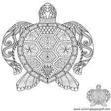 This gorgeous mandala turtle in 3 different sizes for you to color (template in black & white, coloring page) the mandala turtle in 3 different sizes in color as seen in the video! Coloring Page Of An Ocean Turtle Mandala