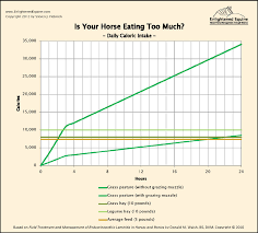 78 Skillful Calorie Requirements Chart