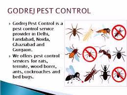 The best pest control services will deal with the problem quickly, efficiently, and with the minimum of disruption to your life. Pest Control Services At Economic Rates By Godrej Pest Control Album On Imgur