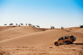 By al dhabi horse riding. The Lux Traveller