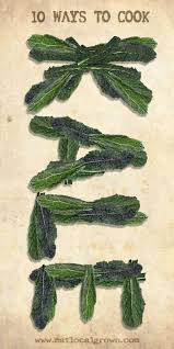 Top 10 Ways To Prepare Kale How To Cook Kale Real Food Recipes Food