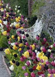 Best Gardens To See Tulips The English Garden Tulips Garden Tulips Arrangement Beautiful Gardens