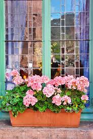 Today i will be building beautiful window boxes for cheapest price. Window Box Ideas Better Homes And Gardens
