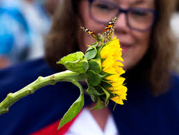 May 2 edition by The Island News