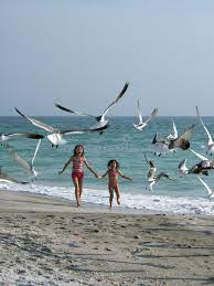 Madchen Die Vogel Auf Dem Strand Jagen Stockfoto Bild Von Vogel Schwestern 4905406