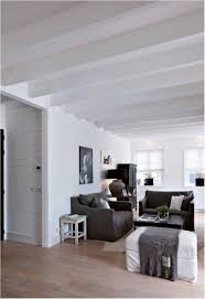 Maison Temoin Kijkwoning Nederland Mi Casa Family Room Family Room Design Home