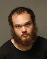 Max Meadows man charged with auto theft, assaulting deputy