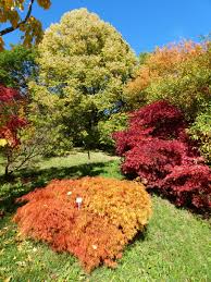 6 adressen zu naturstein in tübingen derendingen mit telefonnummer, öffnungszeiten und bewertung gefunden. 2013 10 19 Tubingen Botanischer Garten Foto Bild Natur Herbst Landschaft Bilder Auf Fotocommunity