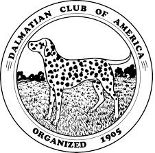 Dalmatian puppy for sale near new jersey, cape may, usa. Looking For A Dalmatian Dalmatian Club Of America
