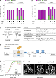 We all love jasmin live which is also known as livejasmin, come in for the fresh and hot models from the best of best! Control Of Endoplasmic Reticulum Membrane Biogenesis By Regulators Of Lipid Metabolism Biorxiv