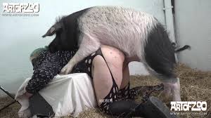 Pig hurting 65 year old womans pussy - Zoofilia Porn