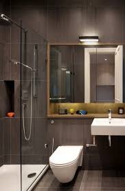 Banheiros Pequenos Decorados 100 Ideias Fotos Projetos Bathroom Design Small Modern Bathroom Interior Design Elegant Bathroom