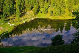 Reflet De Montagne Et De La Foret Dans Le Lac Miroir Dans Le Queyras Queyras Lac Foret