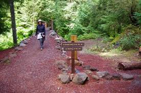 View photo gallery of the hike along the mckenzie river trail to oregon's beautiful tamolitch or blue pool the first part of the trail is not real strenuous as there isn't a lot of elevation gain, however if you are older like we are it is a little difficult because the trail isn't exactly flat and even as there are a lot of rocks. Mckenzie River Waterfalls Loop Trail North Junction Hiking In Portland Oregon And Washington