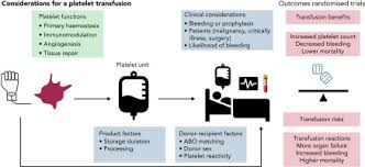 Image result for Platelet Transfusion
