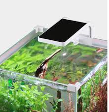 Tidak seperti aquarium air tawar yang selama ini kita ketahui, aquarium laut memiliki perbedaan yang besar dibandingkan dengan aquarium air tawar. Lampu Led Akuarium Led China Lampu Led Akuarium Batu Karang Perlengkapan Lampu Akuarium Led Untuk Batu Karang Dengan Harga Rendah Buy Ikan Tangki Lampu Lampu Led Coral Reef Aquarium Lampu Led Product On Alibaba Com