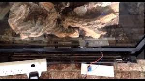 Great news!!!you're in the right place for wemo switch. Wemo Outlet And Alexa Turn On Off Fireplace Youtube
