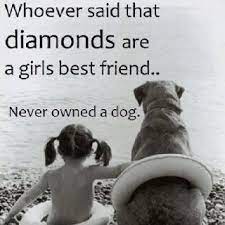 Whoever said diamonds are a girl's best friend obviously never owned a dog. Pin By Amy Lee Garcia On Just Stuff Dog Quotes I Love Dogs Dog Love