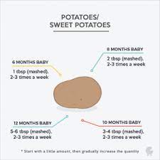 Eggs, milk, yogurt & tofu. 51 Effective Baby Weight Gain Foods Babygogo