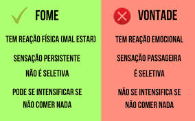 O protocolo de jejum intermitente 16/08 como por exemplo, possui uma janela de alimentação de 8 horas. O Que Nao Te Contaram Sobre O Jejum Intermitente Na Dieta Low Carb Vida Low Carb