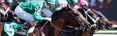 Gulfstream Park Racing Schedule 2022 2022 Gulfstream Park Turf Sprint Field & Odds | Off Track Betting