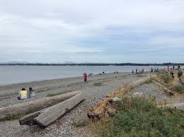 Camping is quite popular at birch bay, and there are 147 different tent spaces for you to choose from. Birch Bay State Park In Blaine Washington Kid Friendly Attractions Trekaroo