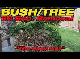 Depending upon the type of bush you have removed, the stump will connect with a root system that lies just below the surface of the soil or deeper. Pin On Garden Tools