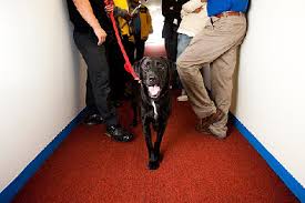 614 cedar avenue, pine beach, nj 08741. Contact Us Nj Pest Control