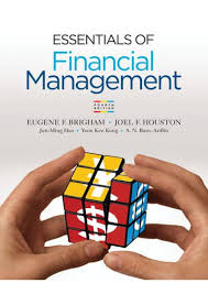 Essentials Of Financial Management 4th Edition Ebook 12 Months