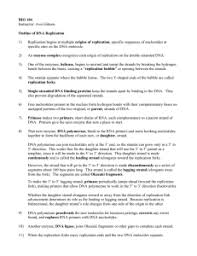 Dna structure function and replication worksheet answer key. Chapter 16 Scaffold Dna Structure Function And