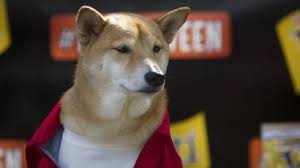 According to coingecko data, shib's current market capitalization is $41.2 billion, $10 billion higher than doge. How High Can Dogecoin And Shiba Inu Coin Go Quartz