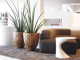 Contemporary Indoor Plants Google Search Interior Plants Interior Design Plants Home Decor