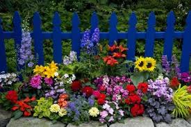 Garden gates garden art garden design the secret garden white picket fence white fence picket fences garden cottage dream garden. Flower Garden And Picket Fence Photographic Print Darrell Gulin Allposters Com