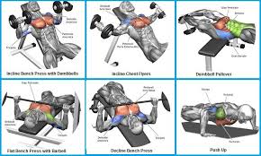 Top 6 Exercises To Build Chest Muscles Chest Workout