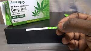 Even the best tests can only assert 99% accuracy because of various potential issues with production, storage, handling, collection. How To Use Assured At Home Marijuana Drug Test Review Youtube