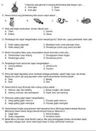 Pin Di Kelas Enam