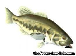 Lm Bass Fish 3d Model 3ds Obj Max Lwo Mtl 3dm Bass Fishing Fish 3d Model