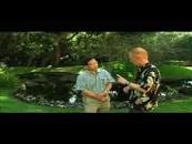 Image result for kilikina kekumano videos