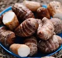 Medium Size Chinese Fresh Super Quality Taro